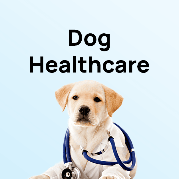 Dog Healthcare
