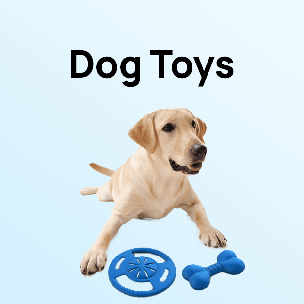 Dog Toys