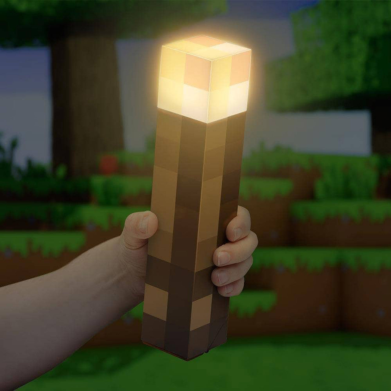 Minecraft Torch Light
