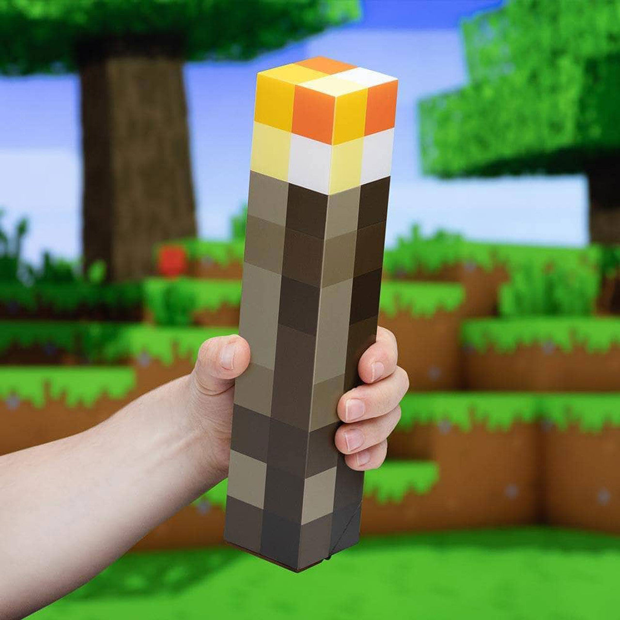 Minecraft Torch Light