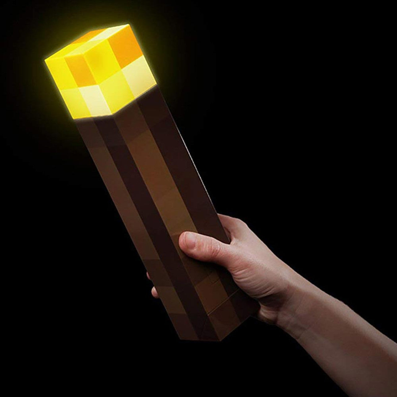Minecraft Torch Light