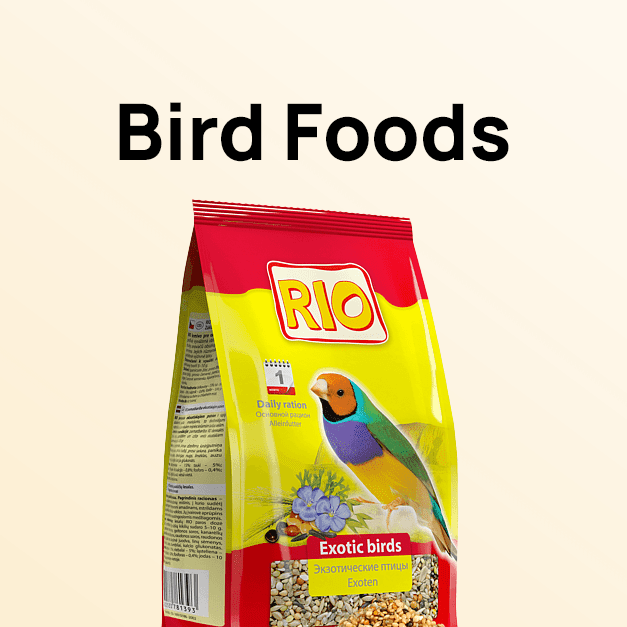 Bird Food