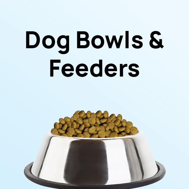 Dog Bows & Feeders