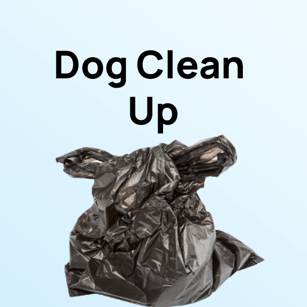 Dog Clean Up