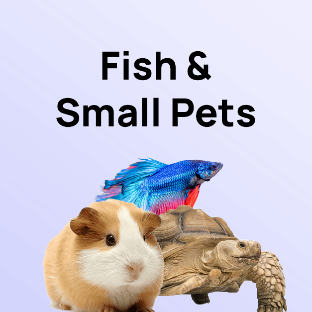 Fish & Small Pets